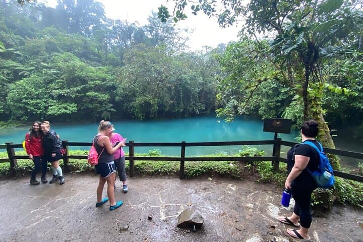 Rio Celeste Hike, Sloth Forest & Coffee Tour from Guanacaste photo 6