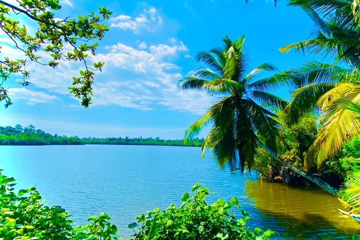 Discover Sri Lanka in 14 Days: Culture, Wildlife & Beaches Itinerary photo 2