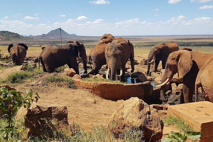 Tsavo East 2-Day Safari from Diani or Mombasa: Elephants, Yatta Plateau & Aruba Dam photo 3