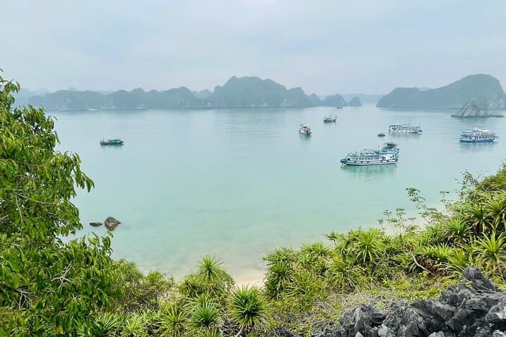 Lan Ha & Ha Long Full-Day Boat Trip to Monkey Island: Kayak, Swim, and Sunset photo 4