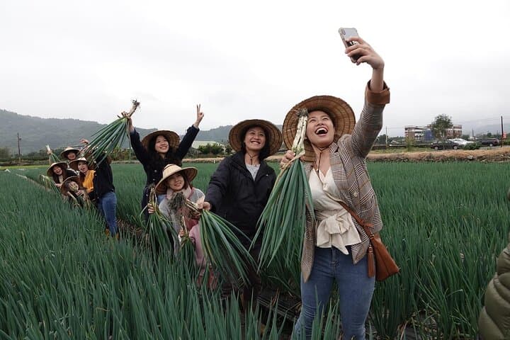 Yilan Scallion Farm & Jiaoxi Hot Spring Day Tour from Taipei — Scallion Pie DIY & Cultural Stops