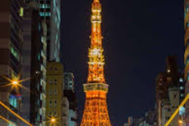 Shinjuku After Dark: Private Night Tour with English-Speaking Driver photo 2