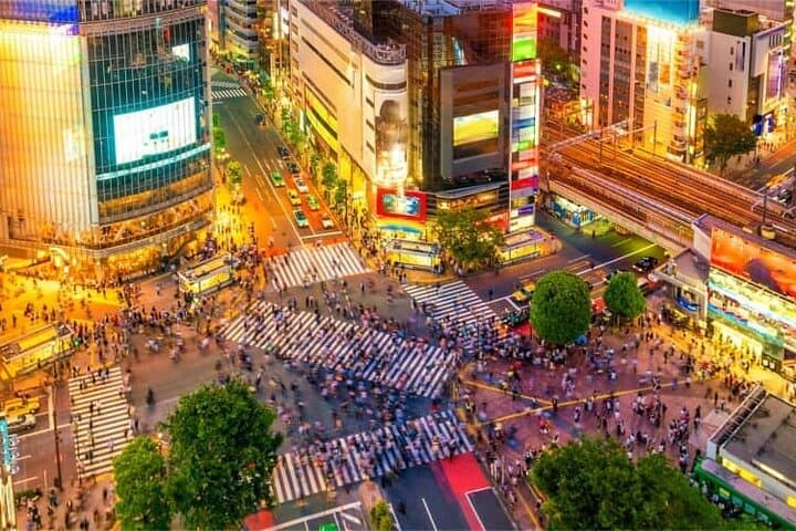 Shinjuku After Dark: Private Night Tour with English-Speaking Driver photo 3