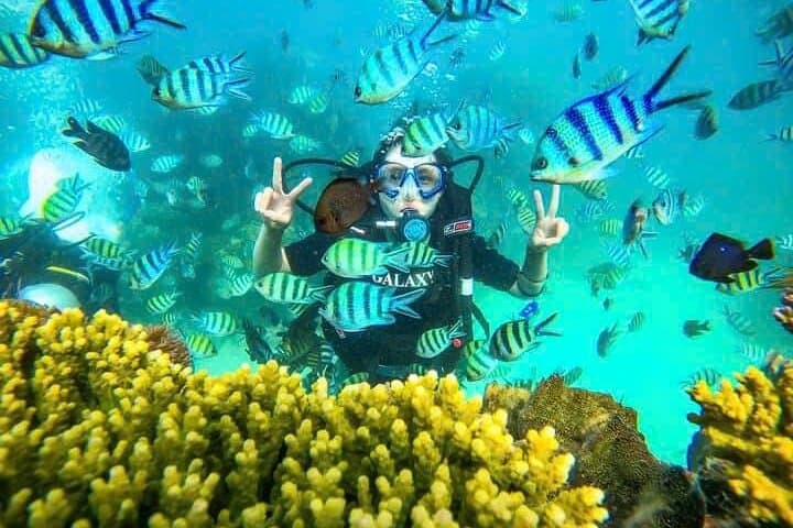Discover Scuba Diving at Phu Quoc Island — Guided Beginner Dives & Boat Trip
