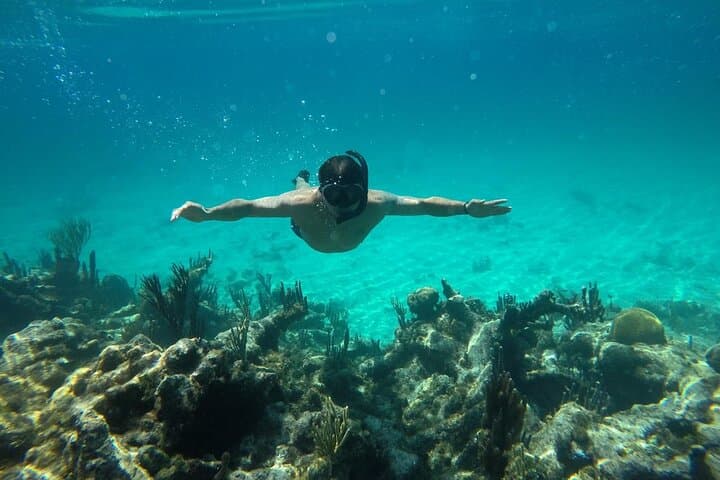 Introductory Reef Dive — Rosario Islands & Playa Blanca Day Trip from Cartagena photo 4