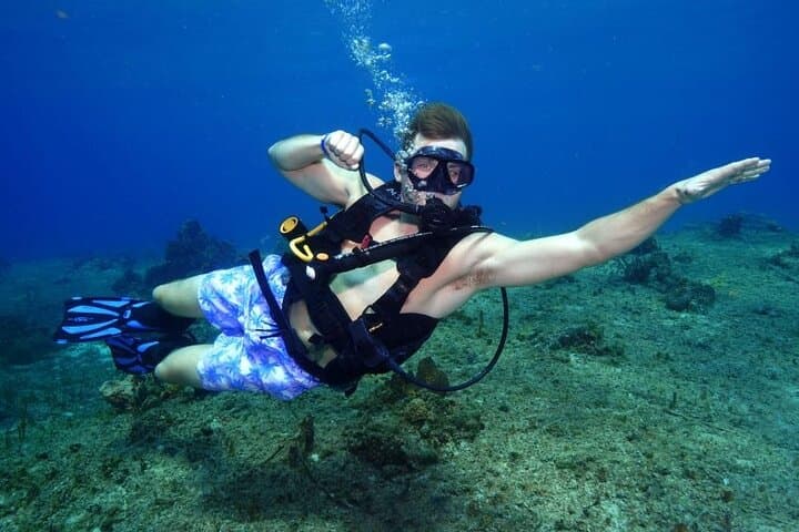 Cozumel One-Tank Shore Dive: Guided Reef Dive to 35 ft with Equipment