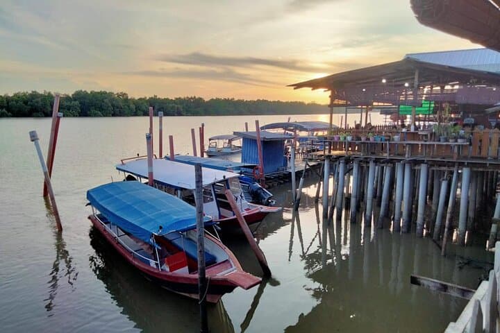 Kuala Selangor Fireflies and Eagle Feeding: Private Evening Boat Tour with Village Dinner