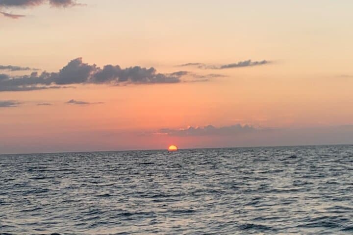 Everglades Sunset Charter: Private Gulf Cruise from Naples with Dolphins & Manatees photo 5