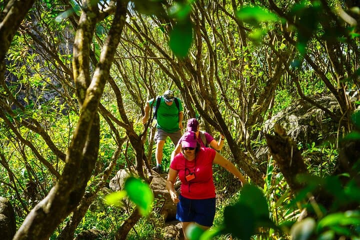 Tamarind Falls (7 Cascades) Hike: Full-Day Trek in Mauritius photo 3