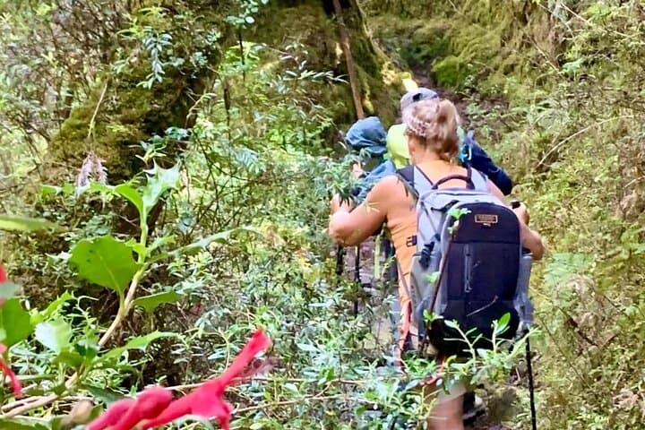 Hike Calbuco Volcano: Day Trek to Reserva Llanquihue from Puerto Varas photo 4