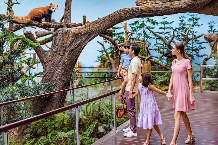 Singapore River Wonders: Explore Rivers, Giant Otters & Manatees