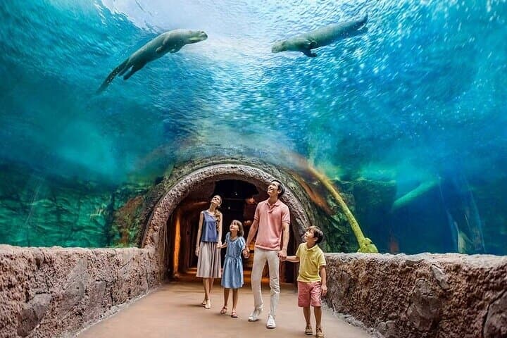 Singapore River Wonders: Explore Rivers, Giant Otters & Manatees photo 2