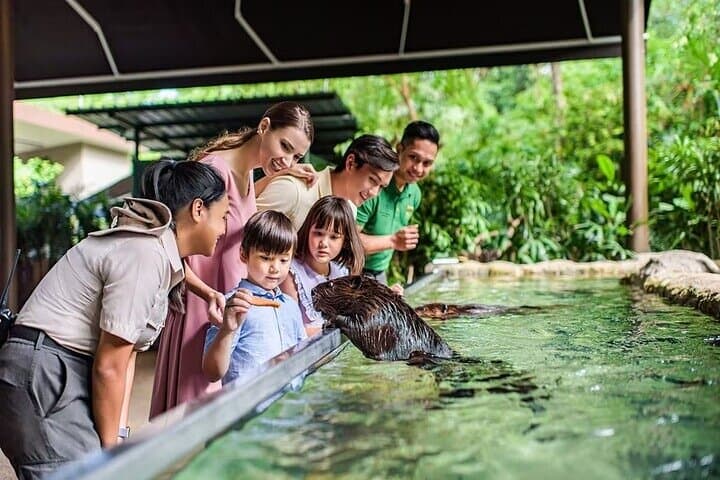 Singapore River Wonders: Explore Rivers, Giant Otters & Manatees photo 3