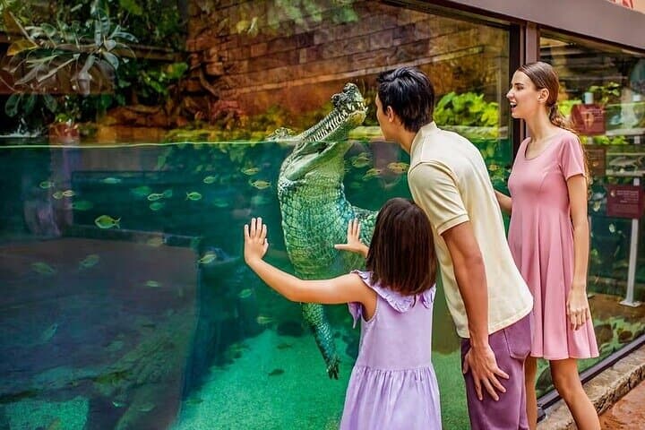 Singapore River Wonders: Explore Rivers, Giant Otters & Manatees photo 4