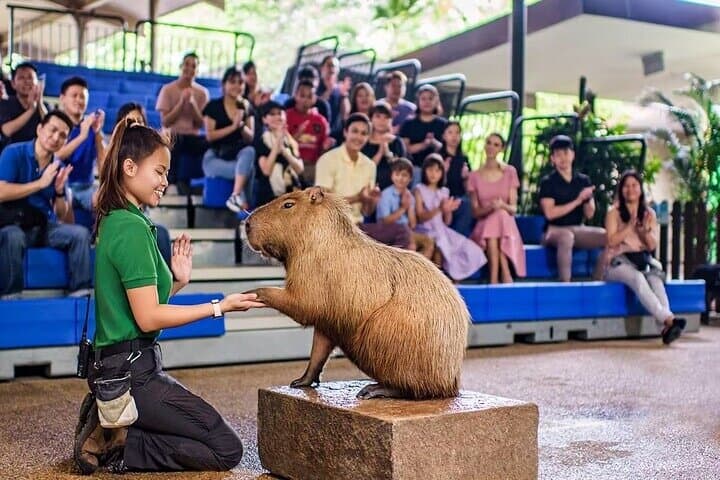 Singapore River Wonders: Explore Rivers, Giant Otters & Manatees photo 6