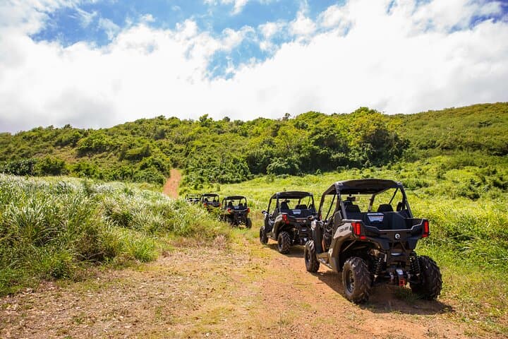 Dos Mares Rainforest UTV Adventure: Fajardo Trails & Ocean Views photo 2