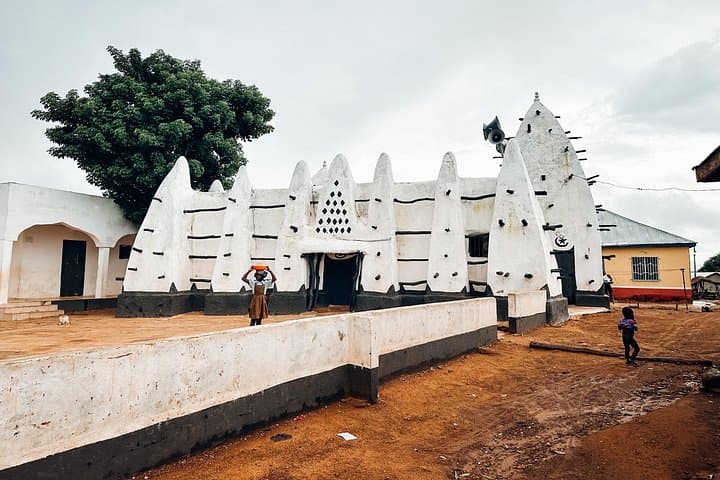 Mole National Park Safari and Larabanga Mosque: Day Trip from Tamale photo 3