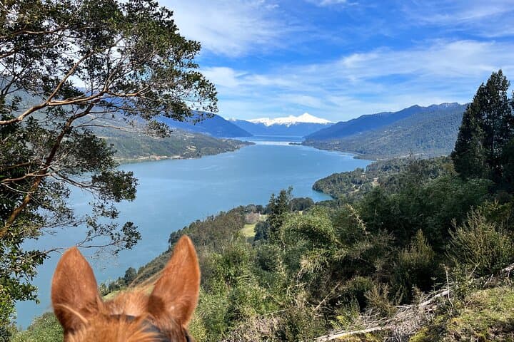 Esperanza Valley Horse Ride: Full-Day Horses of the Reloncaví Estuary