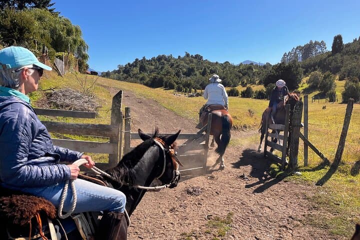 Esperanza Valley Horse Ride: Full-Day Horses of the Reloncaví Estuary photo 2