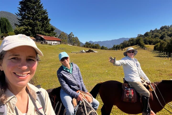 Esperanza Valley Horse Ride: Full-Day Horses of the Reloncaví Estuary photo 3