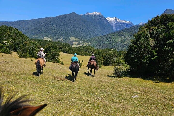Esperanza Valley Horse Ride: Full-Day Horses of the Reloncaví Estuary photo 4