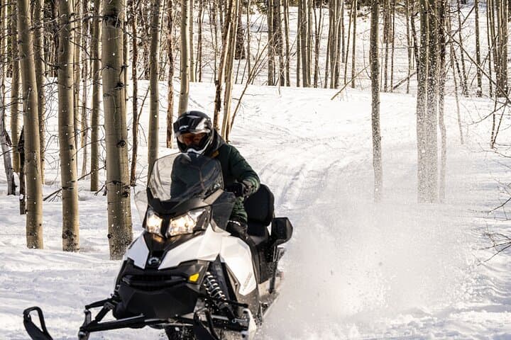 Tahoe Lakeview Snowmobiling: A Two-Hour Ride Through Alpine Meadows and Peaks photo 2