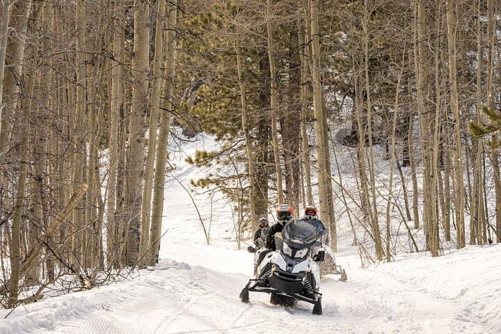 Tahoe Lakeview Snowmobiling: A Two-Hour Ride Through Alpine Meadows and Peaks photo 5