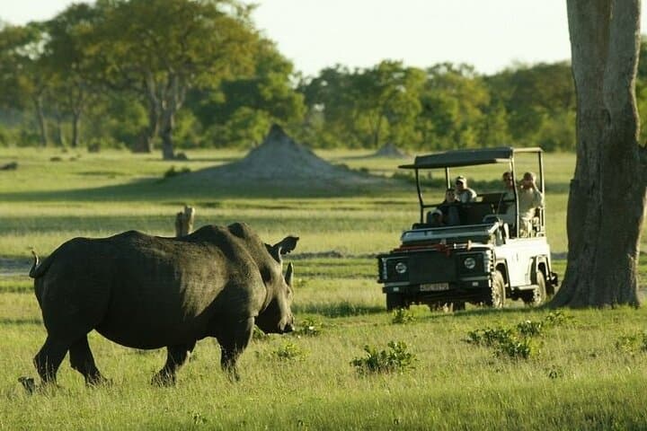 Full-Day Moremi Safari from Maun — Big Five & Xinii Lagoon Game Drive photo 2