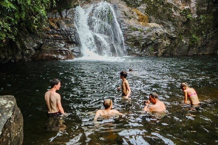 Sinharaja Rain Forest Day Tour: Guided Trek from Mirissa with Tea Estate Visit photo 5