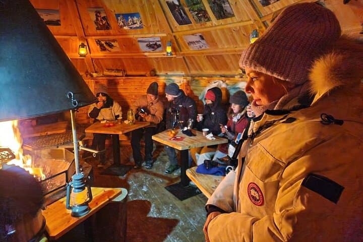 Lapland in a Day: Reindeer Encounters, Snowmobile Sleigh Ride & Lappish Snacks photo 2
