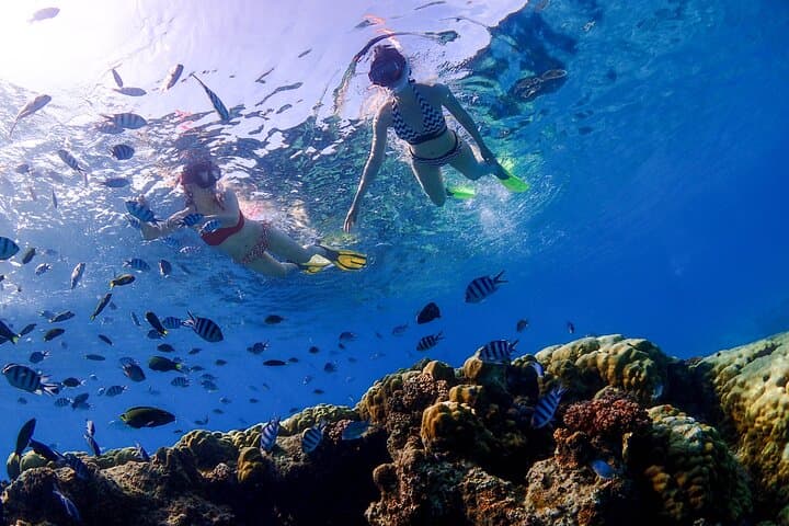 Semporna 3-Island Snorkel & DSD Dive Tour — Timba-Timba, Mataking & Pandanan photo 4