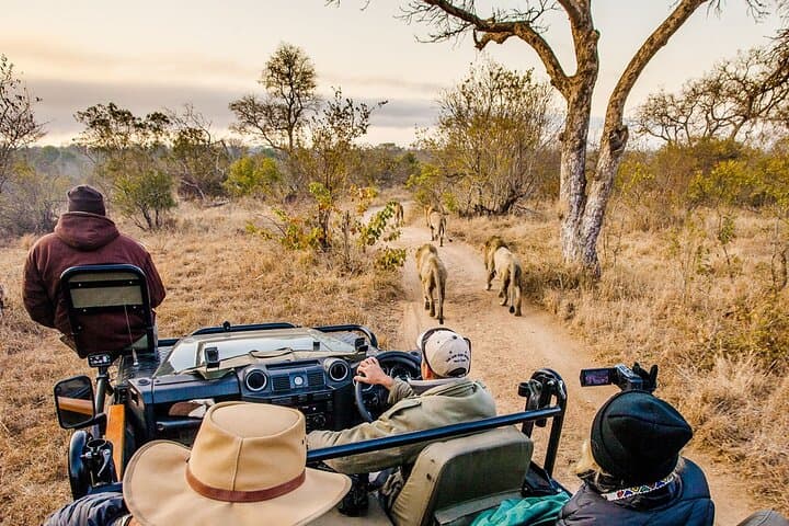 Full-Day Hluhluwe-Umfolozi Safari: Big Five, Rhino Conservation & Hilltop Views photo 2