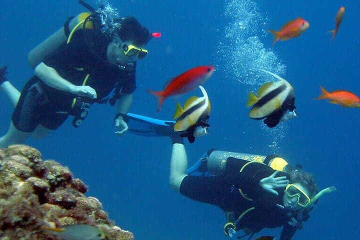 Introductory Scuba Diving in Fethiye: Turquoise Coast Dives with a Professional Instructor