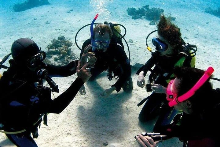Introductory Scuba Diving in Fethiye: Turquoise Coast Dives with a Professional Instructor photo 3