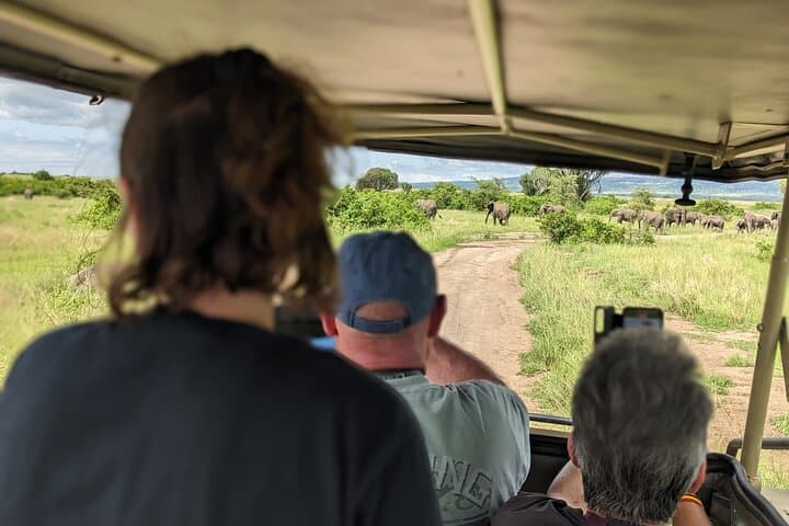 7-Day Uganda Primates & Queen Elizabeth Safari — Gorillas, Chimps & Kazinga Channel photo 6