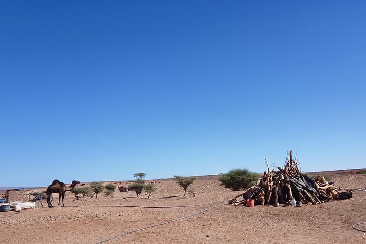 Overnight Erg Chigaga Desert Camp — Budget One-Night Sahara Experience from M'Hamid photo 4
