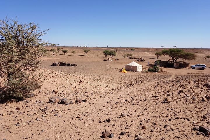 Overnight Erg Chigaga Desert Camp — Budget One-Night Sahara Experience from M'Hamid photo 6