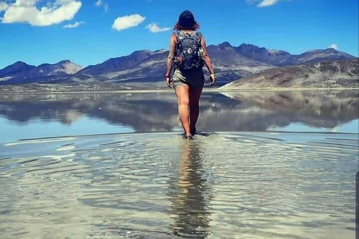 Salinas Lagoon Half-Day Tour from Arequipa — Volcano Views, Camelids & Hot Springs photo 4