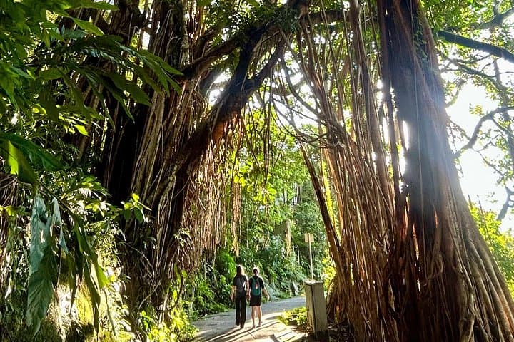 Sunset Hike to High West Peak: Local-Guided Panorama Trail in Hong Kong photo 2