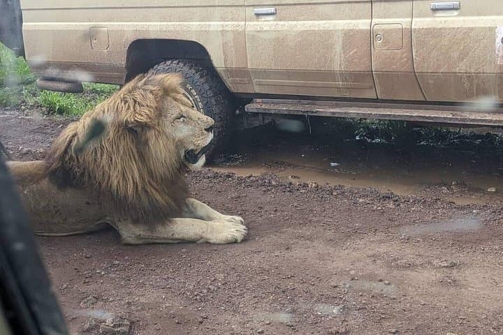 3-Day Safari: Ngorongoro, Tarangire & Lake Manyara Camping Tour photo 1