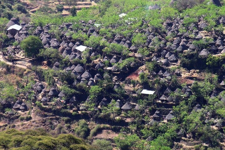 Private Omo Valley Cultural Tour: 8-Day Tribes, Lakes & Wildlife photo 4