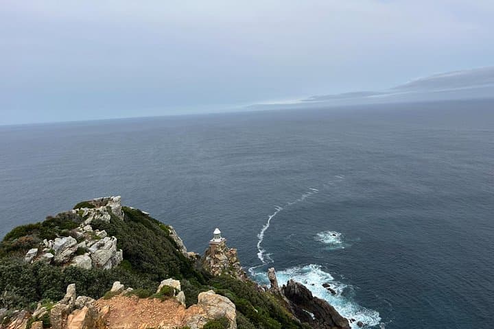 private-cape-of-good-hope-penguins-and-groot-constantia-wine-tour photo 3