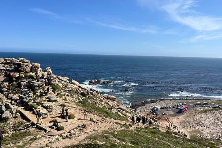 private-cape-of-good-hope-penguins-and-groot-constantia-wine-tour photo 5