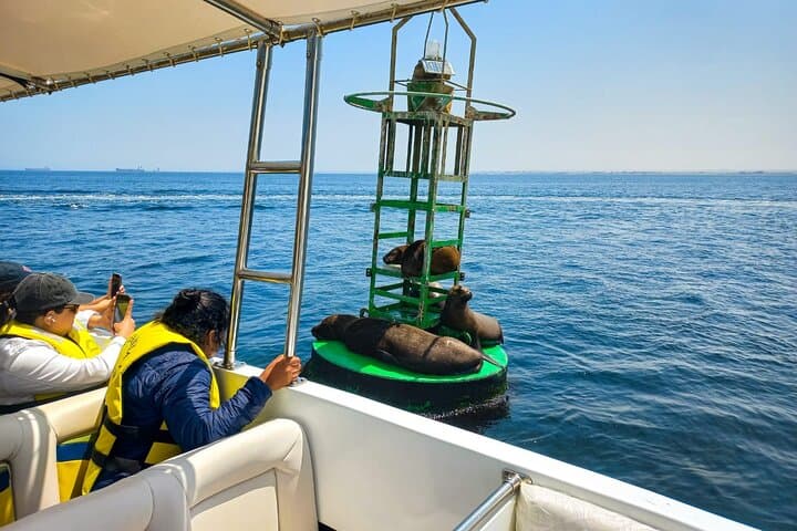 Ballestas Islands Boat Excursion from Paracas — Wildlife, Penguins & The Candelabra photo 2