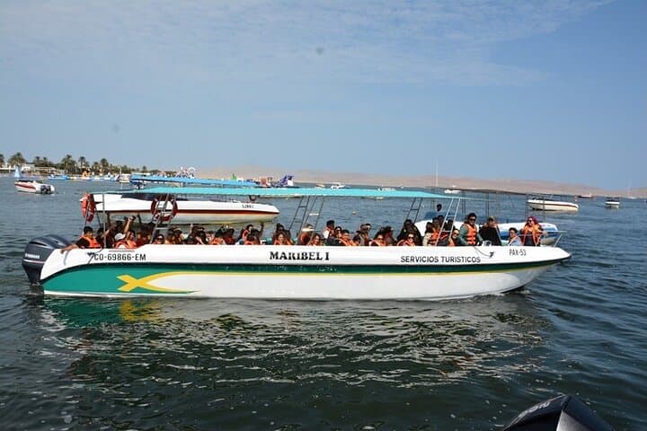 Ballestas Islands Boat Excursion from Paracas — Wildlife, Penguins & The Candelabra photo 1