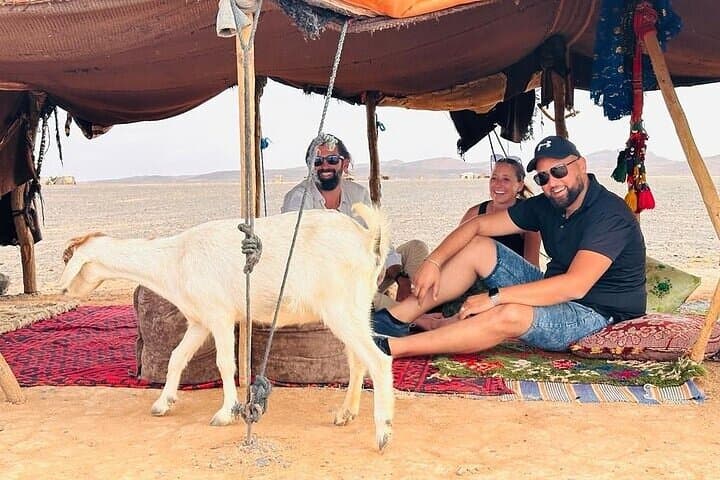 VIP 9-Day Grand Morocco Discovery Tour from Casablanca photo 2