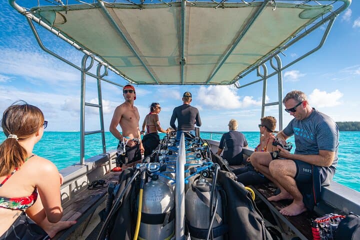 Introductory Scuba Dive at Moorea: Baptism at L'Aquarium Lagoon photo 3