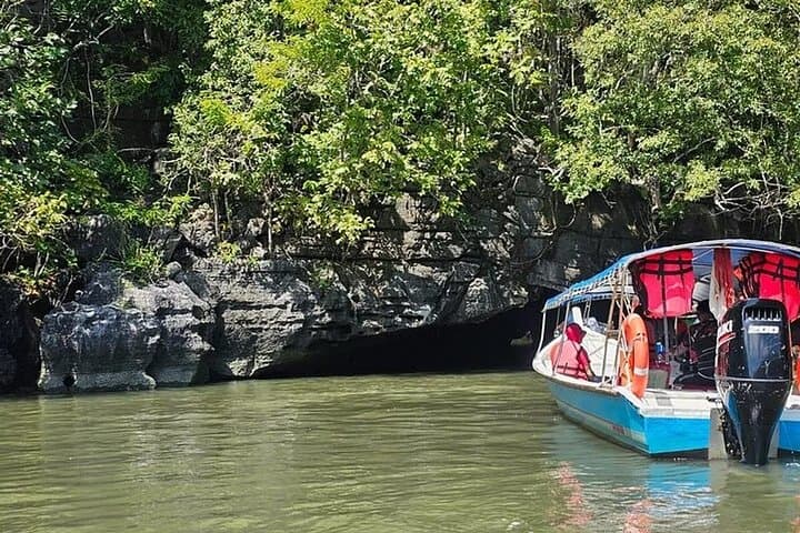 Langkawi Mangrove & Bat Cave Expedition: Boat Tour through Kilim Karst Geoforest