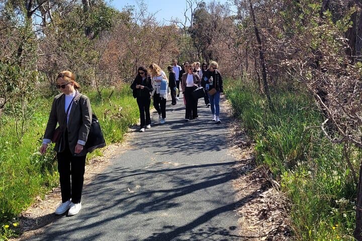 Forest Bathing in Kings Park: 3-Hour Guided Mindfulness Walk in Perth photo 3