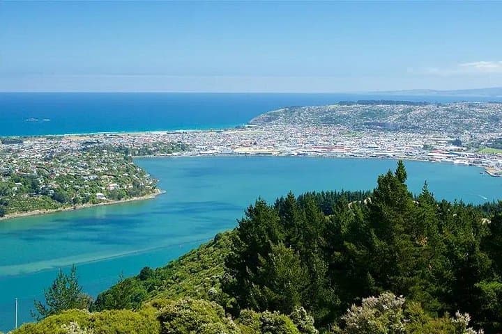 Private Dunedin & Otago Peninsula Day Tour: Albatross, Coastal Views & City Sights photo 4